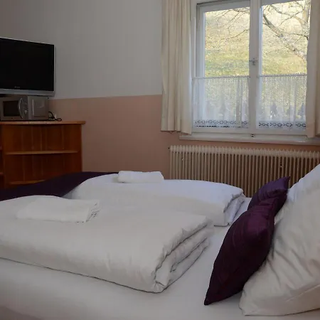 Pension Sonnenheim Rooms&Apartments 3* Gmund in Karnten