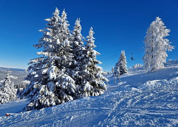 Pension Sonnenheim Inkl Zomerkaerntencard Гостевой дом 3*